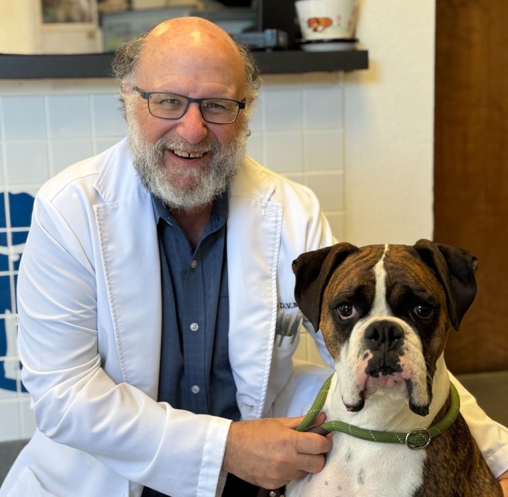 older man with white beard and curly hair on the sides bald head with square glasses, a white coat and a bluish grey button up sitting to the left of a brown and white dog with a green leash around its neck